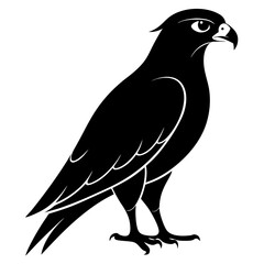 Falcon Silhouette Vector & Majestic Bird of Prey Icon