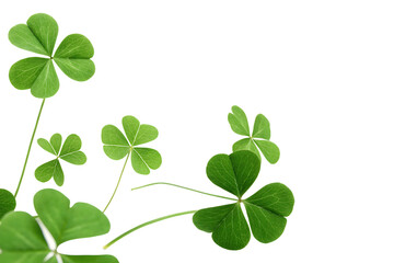 3d rendered flying leaf clovers isolated on white background, PNG