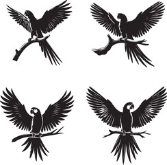 Obraz premium Parrot Silhouette | Perched Bird with Spreading Wings, Tropical Exotic Wildlife Vector