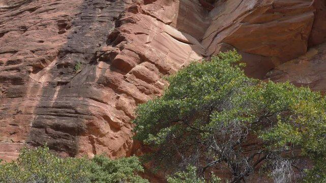 Red rock towering over the Palatki Ruins, Arizona, USA