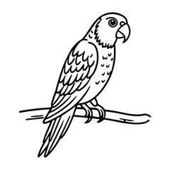 Fototapeta premium Parrot Outline on Branch Black and White Illustration for Coloring and Design