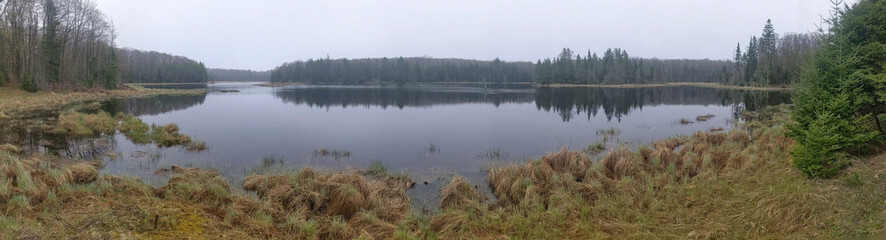 A wide panoramic view of a foggy pond in the wilderness of Ontario, during the spring.