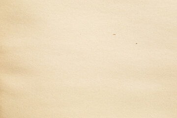 Brown journal paper with stains