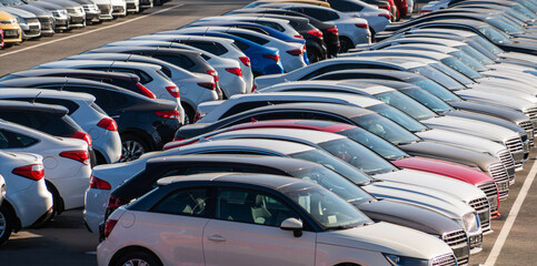 Fototapeta premium A lot of cars in a rows. Used car sales