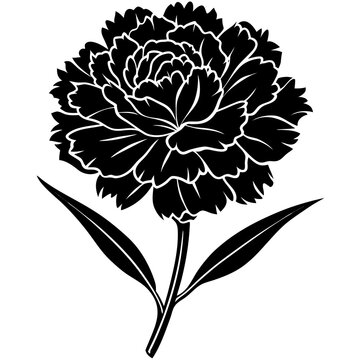 black carnation flower silhouette on white clip art preview
