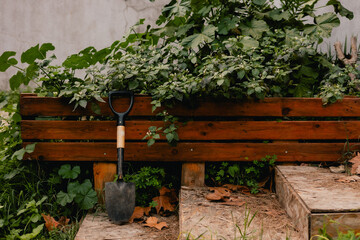 Garden tools for florist taking care of flowers and plants in garden with vintage greenhouse...