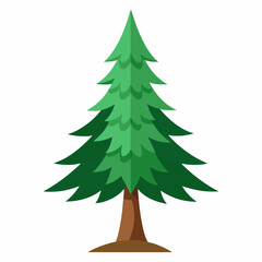 Fototapeta premium green christmas tree
