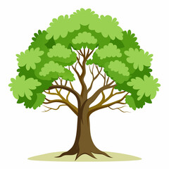 tree with green leaves