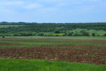 Open field landscape under a vibrant blue sky