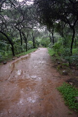 Fototapeta premium Picture representing the Trek Trial among the Aravalli Mountains offering serene views and rocky paths somewhere in Delhi, India
