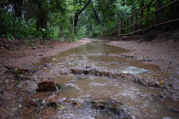 Picture representing the Trek Trial among the Aravalli Mountains offering serene views and rocky paths somewhere in Delhi, India