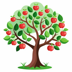 apple tree with apples