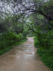 Fototapeta premium Picture representing the Trek Trial among the Aravalli Mountains offering serene views and rocky paths somewhere in Delhi, India