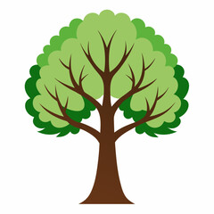 Fototapeta premium green tree isolated on white