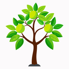 Obraz premium tree with green leaves