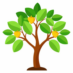 Obraz premium orange tree isolated on white