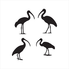 set of flamingo silhouettes
