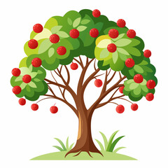 tree with red apples