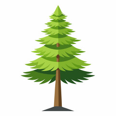 christmas tree isolated