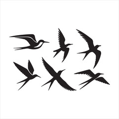 set of birds