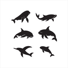 Obraz premium set of sharks