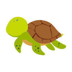 A cartoon turtle is walking on a white background. The turtle is green and brown. The turtle is small and cute