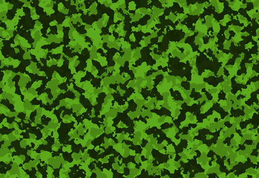 Camouflage Tarn Texture Pattern