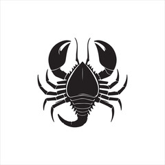 crab spider vector illustration