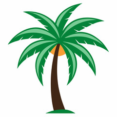 palm tree vector