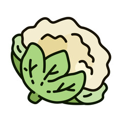 Color icon of fresh cauliflower vegetable in fresh and minimal design style. for mobile apps, logo, web design, print, ads, UI, and infographics