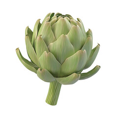 Obraz premium A single artichoke centered on the screen on Png Format and Transparent Background