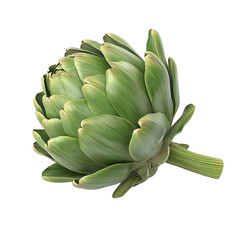Fototapeta premium A single artichoke centered on the screen on Png Format and Transparent Background