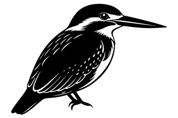 vector illustration of a bird