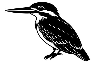 vector illustration of a bird