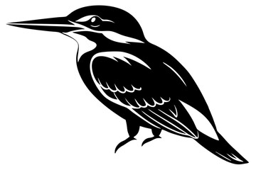 vector illustration of a bird