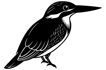 vector illustration of a bird