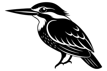 vector illustration of a bird