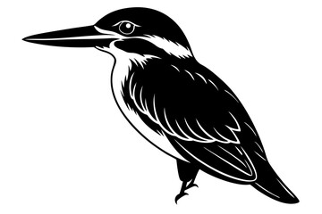 black and white bird