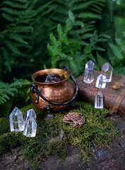 Frog, quartz crystals, spell book and witch copper cauldron in forest, natural background. fantasy...