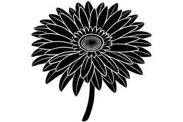 pink flower isolated on white background