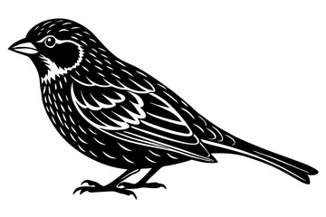 silhouette of a bird