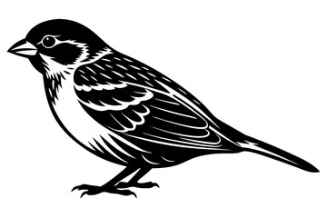 silhouette of a bird