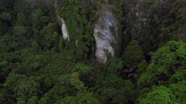 limestone cliffs emerging from tropical forest Gorgeous aerial view flight drone
