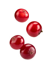 Fresh cranberries falling on transparent background