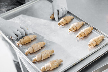Baking preparation: croissant dough arranged by gloved hands on tray in factory, top view