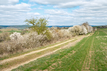 Landschaft bei Brandenstein im Zechsteinriffgebiet Orlasenke Pößneck Thüringen