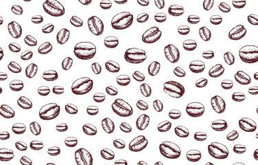Coffee beans seamless pattern on white, hand drawn illustrations.