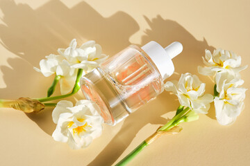 A bottle of luxury serum with petals on a beige background with daffodils.