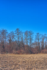 Landscape by the Lenaelva River by Lena, Toten, Norway, April 2025.