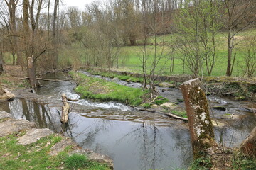Kreuzbach im Kreuzbachtal bei Aurich im Heckengäu